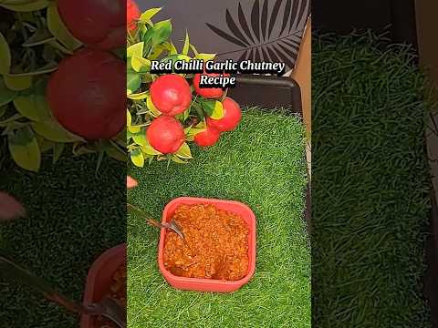 Dry Red Chilli & Garlic Chutney Recipe | Spicy & Flavorful