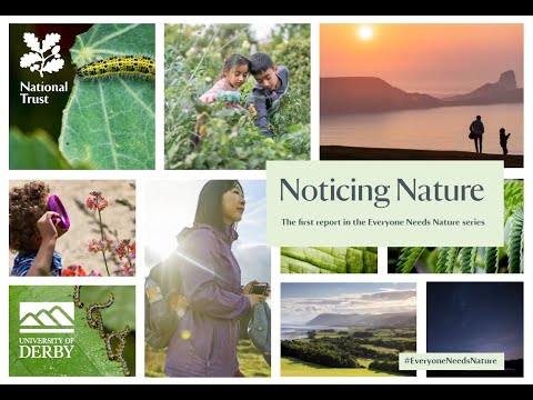 Noticing Nature