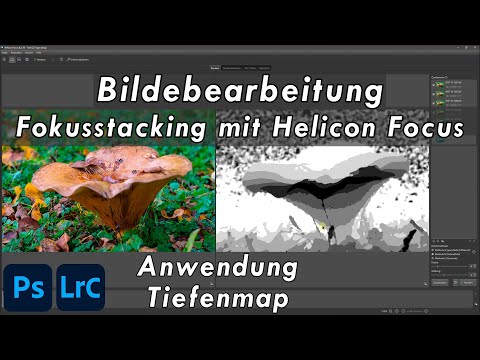 Bearbeitung Focus Stacking mit Helicon Focus und Tiefenmap