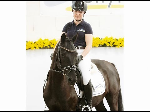 NESPERADOS 5j. Wallach v. New Classico