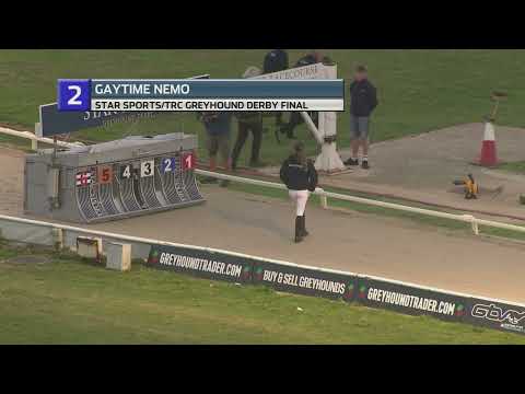 2023 GREYHOUND DERBY FINAL - GAYTIME NEMO