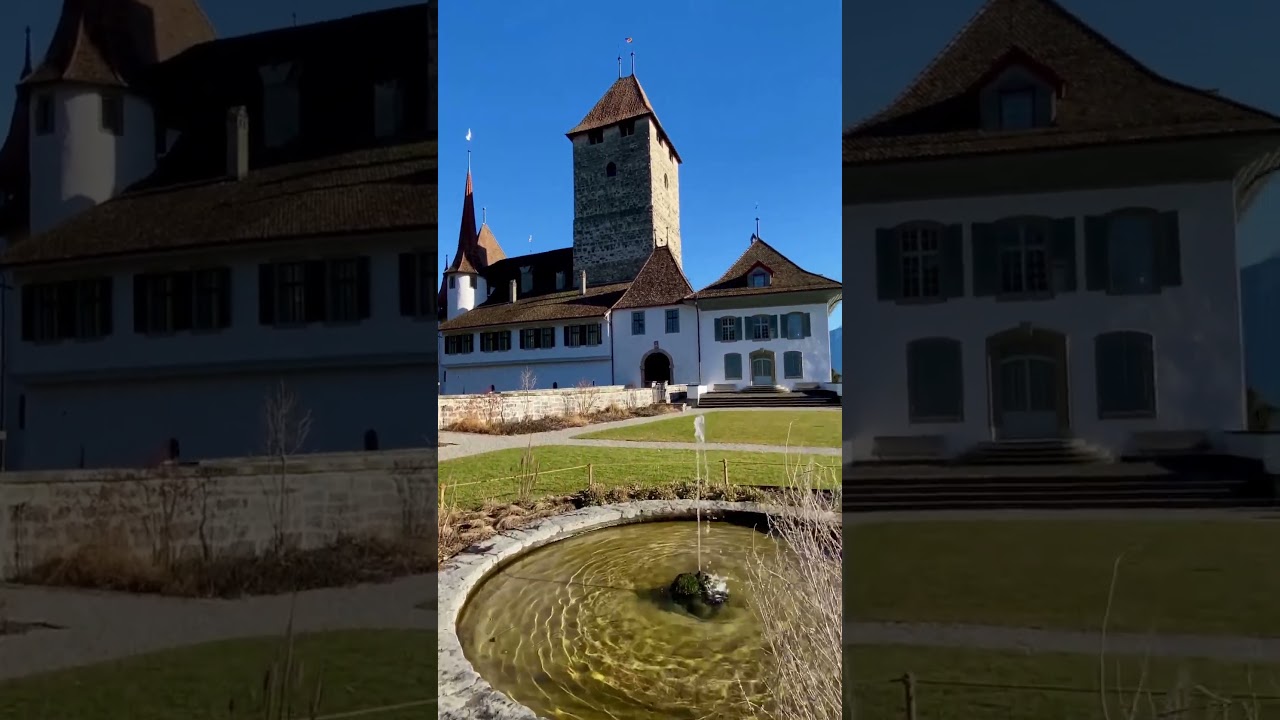 YouTube Short thumbnail