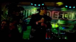 Los Felinos LA MULA BRONCA - En Vivo - Mayo 2009