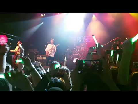 181118 The Rose - Sorry + I.l.y (2nd coloring Paint it Rose Europe Tour Berlin) fancam