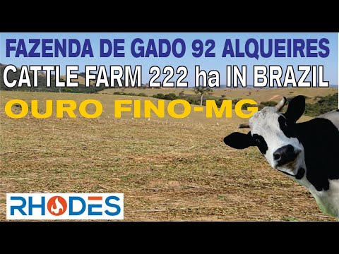 FAZENDA DE GADO 92 ALQUEIRES OURO FINO - MG / CATTLE FARM W/ 222 HECTARE IN OURO FINO - BRAZIL