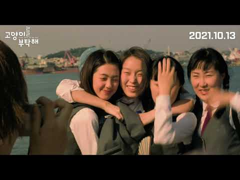 [고양이를 부탁해] 티저 예고편