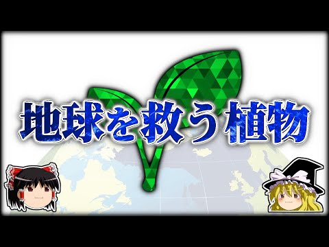 pergola-bioclimatique-parallax-lames-mobilier-rotin