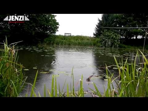 JENZI 2012 - Hechtangeln mit Oberflächenködern, Hechte bis 76cm (fishing & Angelsport)