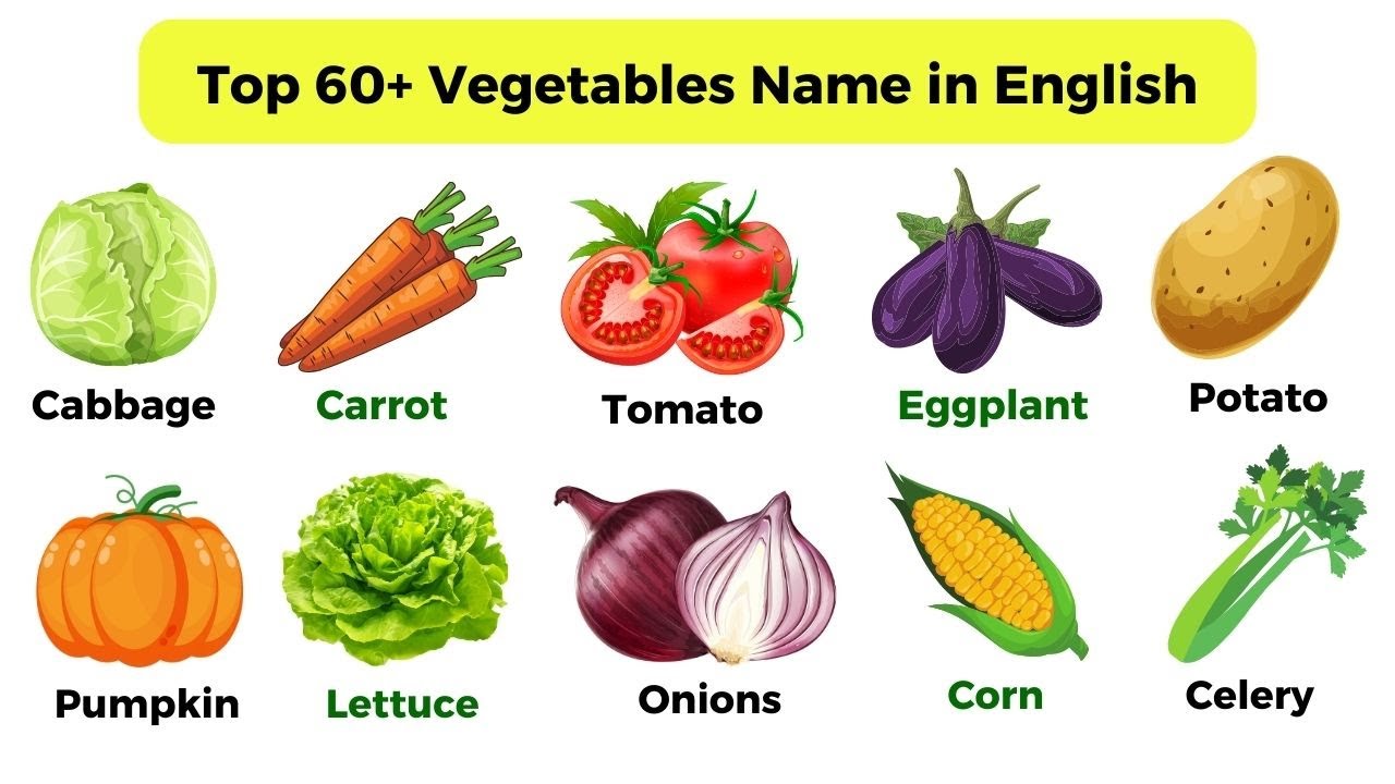 Top 60+ Vegetables Name in English | Learn Vegetables Vocabulary With Pictures | English Practice