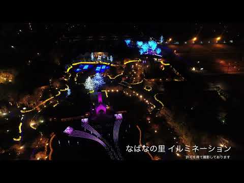 なばなの里イルミネーション【ドローン撮影】(桑名市)｜観光三重｜三重県の観光・旅行情報