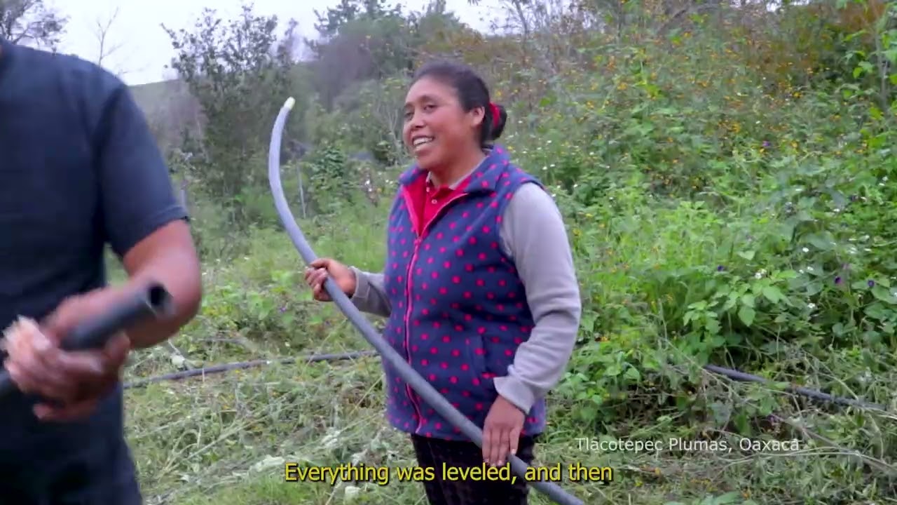 Local solutions against drought in Mexico