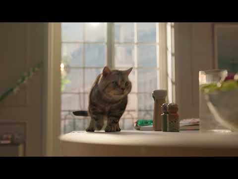 Publicité Mobalpa 2024 - Des cuisines pour la vie (25s) | MOBALPA FR | HD