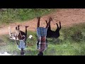 Dharmathupatti Hot Fight Video