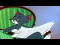 Tom And Jerry Down Beat Bear