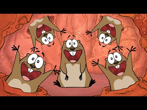 The Prairie Dog Counting Song