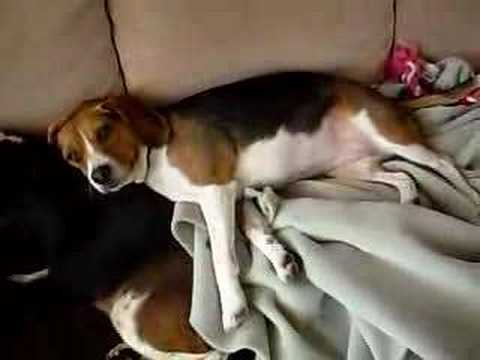 Leyla Mimiendo con Habibah