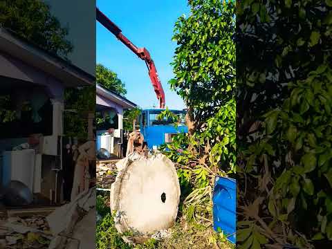 Forte vendaval arranca telhado inteiro de casa no Colorado do Oeste RO área rural