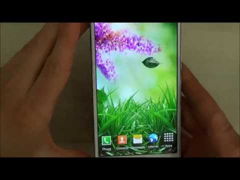 Spring Live Wallpaper Lite Video