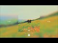 Haim Summer Girl Slowed Reverb
