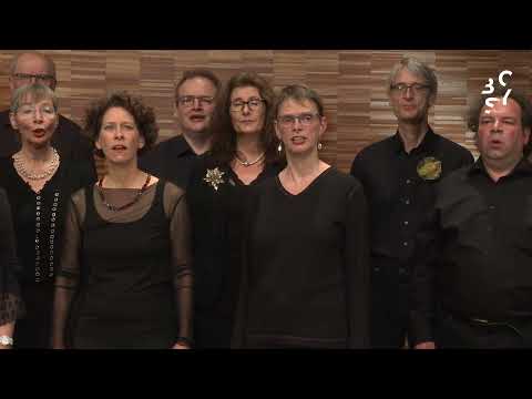 BoSy Adventskalender - Türchen Nr. 24: Deutschland