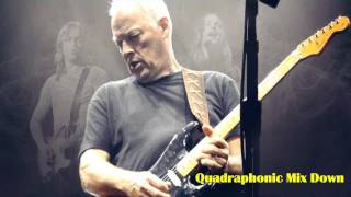 David Gilmour - Echoes - Quadraphonic Mix - HD