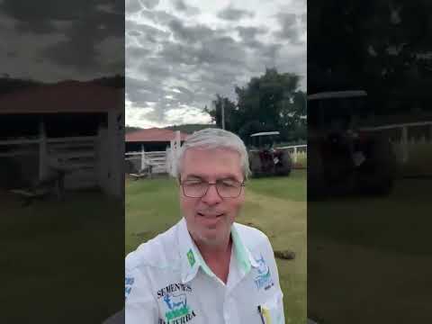 FAZENDA A VENDA NO MUNICÍPIO DE CÓRREGO DO OURO NO ESTADO DE GOIÁS