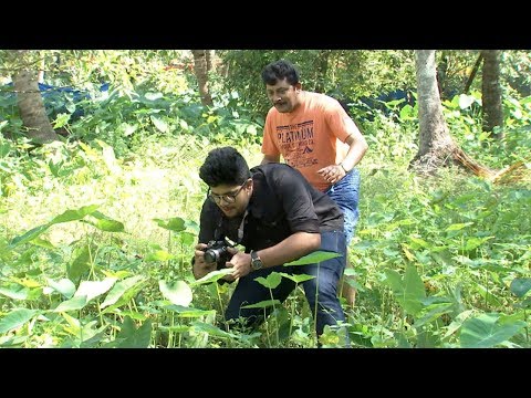 Thatteem Mutteem I EPI 277 - Still photographer Arjunan ! I Mazhavil Manorama