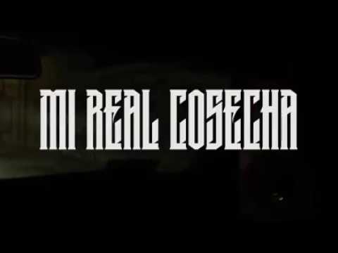 Mi Real Cosecha - R.Zaiks