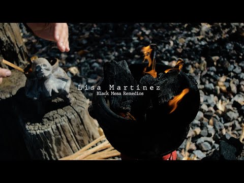 Ed's video field notes - Lisa Martinez