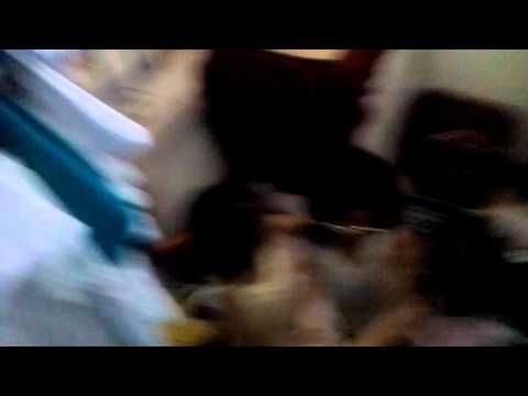 Name fhyijggmkhf.         Najla.  Kaim