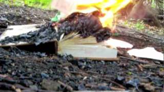 The Arson of 'The Education of Catholic Americans'