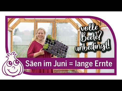 Wichtige letzte Aussaaten im Juni