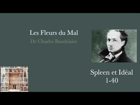 Les Fleurs du mal: lecture audio de Spleen et Ideal.
