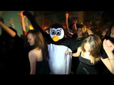 Fluor.FEAT Indokolatlan Pingvin - Mizu?