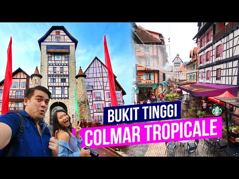 Colmar Tropicale preview