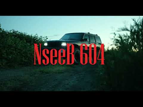 Tu Ni Punjab | NseeB | official video | new punjabi rap 2024