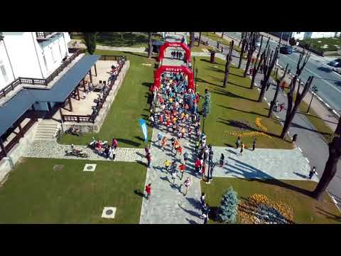 COZIA RACING TEAM HD