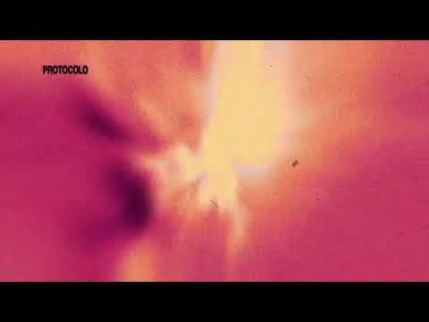Protocolo