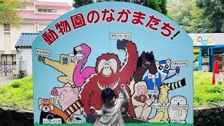 🌟Modren Title🦋🐵💚【癒し度100％】かわいすぎる動物たちに胸キュン💕笑顔になれる最高のひととき✨｜市川市動植物園【4K】