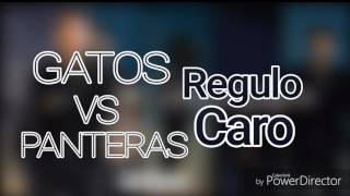 Gatos VS Panteras - Regulo Caro - Audio Oficial