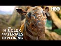 Exploring His Dark Materials: Amber Spyglass, Mulefa, and More | His Dark Materials | HBO Max