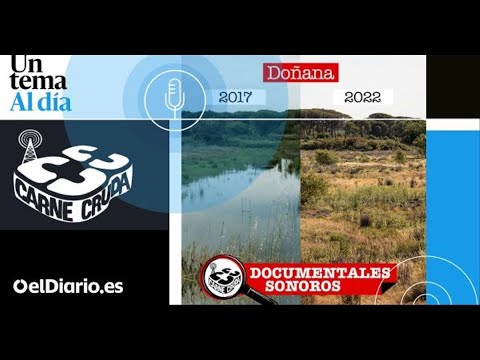 PODCAST Doñana como secar el mayor humedal de Europa Carne Cruda