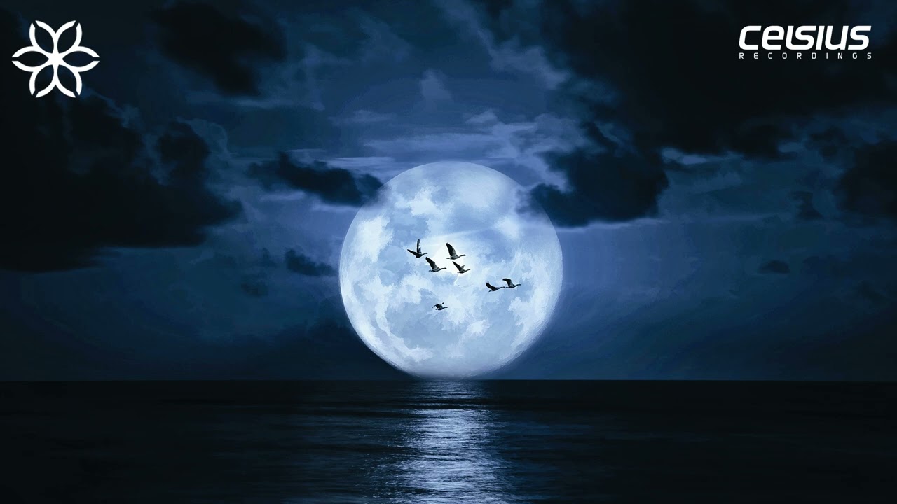 Sander Boelders - Realizations