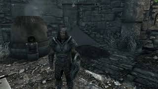 Skyrim Paladin Buenaente 2.5
