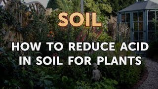 How to Reduce Acid in Soil for Plants
