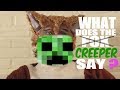 What Does The Creeper Say (What Does The Fox ...