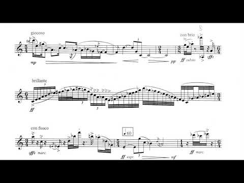 Werner Heider - Zugabe (Encore) for Clarinet (1995) [Score-Video]