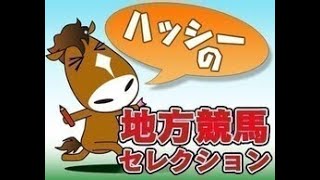 ハッシーの地方競馬セレクション（4/6）「第25回クラウンカップ（SIII）」（川崎）|Top News