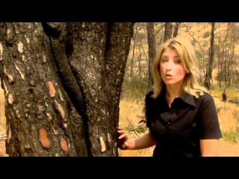 ΘΕΟΔΩΡΟΣ ΚΟΛΟΚΟΤΡΩΝΗΣ - ΣΚΑΪ - ΜΕΓΑΛΟΙ ΕΛΛΗΝΕΣ - 2009 (HQ)