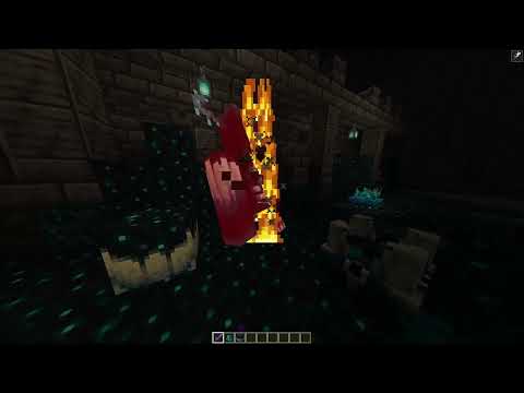 Warden Summoning... wtf